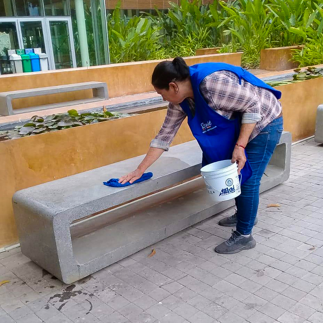 Resultado de limpieza profesional 2